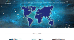 Desktop Screenshot of oicinternational.biz
